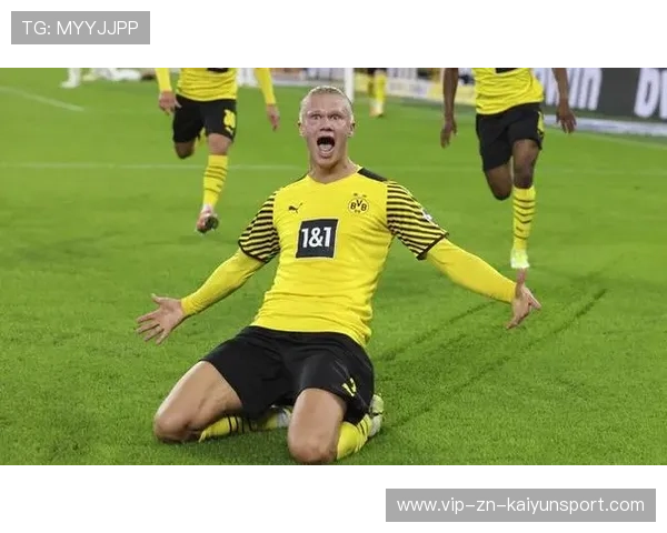 多特哈兰德禁区内霸气推射再一次得分：热血、科技与坚韧并行的全新解读